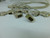 Pepperl+Fuchs 23901A Comtrol Octacable Assembly Cable 6ft
