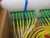 CommScope OLS-MPP12A66 Fiber Optic Module with Two SC/Apc Ports and MPO-12