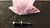 LOT OF 20 WEFORMA WSB-M 0.5X 19-100 SHOCK ABSORBERS T21867