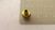 LOT OF 11 PARKER B22A 1/4 MALE PIPE COUPLES T23550