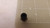 LOT OF 34 LEGRIS CL682502 FITTINGS T23819