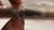 PARKER WD406124 A 00.56 DSR 2.000 PNEUMATIC CYLINDER T23833
