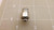 LOT OF 15 PARKER W68ML-2-2 FLUID CONNECTOR T23410