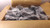 LOT OF 5000 HELLERMANN TYTON 126-00049 WING PUSH MOUNT TIES T24548