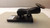 BAE SYSTEM W56HZV-05-C-0724 MOUNT VEHICLE T24869