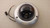 HONEYWELL HEV28FC-R ENCLOSURE COAX CLEAR DOME T25208