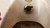SAE-PC-75 SAE-P-61 LIGHT T26726