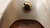 SAE-PC-75 SAE-P-61 LIGHT T26726