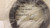 FEDERAL-MOGUL 7799TA0 SEAL PLAIN ENCASED T25889
