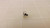 LOT OF 1530 TR FORMAC 658289-ZH1 SCREWS T27347