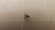 LOT OF 1800  000-01-203-03001 4-40 3/16 SCREWS T26147