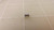 LOT OF 36000  2A2013900-03Y-G SIX-LOBE SCREWS T28718