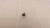LOT OF 4000 NYLOK 2A2014Y00-03Y-G 11180001BZ119891 PHILLIP SCREWS T28684