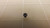 LOT OF 2000 NYLOK 86.00D52.630 0095XXGLAAAX120310120313 PHILLIP SCREWS T28687