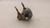 LOT OF 11 MACK 74063 VALVES T29276