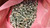 LOT OF 1700 AOYAMA 7150-1368 91653-40612 BOLTS W/ WASHER M6 X 12MM STEEL T29763