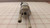 GOULD ALLIED MMSERE-20381 SOLENOID VALVE ACTUATOR T30255