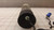 PERKIN-ELMER 303-0114 LAMP T30449