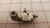 LOT OF 11  TAC TSC Y6 PNEUMATIC VALVE T30902