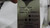 HP HEWLETT PACKARD 75000 E1669A SERIES 90 SONET/SDH OPTICAL INTERFACE T30962