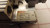 LOT OF 2 REXROTH MSC-8-30-SE 0821406301 MSC-8 MINI SLIDE COMPACT T31175