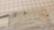 2590-01-279-5714 19207 12338359 SPPM750-05-D-7547-0017 PUSH-PULL CONTROL ASSEMBLY T31705