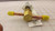 SPORLAN E6S130 SOLENOID VALVE T31901