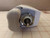 TECHNICAL CONCEPTS 500264 AUTOHYGIENE SYSTEM PACK AUTOFLUSH FOR URINAL T35610