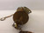 EVER TITE MS27028-11 MS27026-11 32108-01 BRASS BALL VALVE T36790