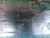 LINCOLN T-3478-B MOTOR T43327