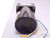ORIENTAL MOTOR 4GK18 830707D GEAR MOTOR T95025