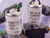 NUMATICS HS02M7H50B VALVE T98379