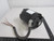 AO SMITH P56AA87B08 AC MOTOR 1/2 HP 1725 RPM 208-230/460 V 3 PH FR 56C T99873