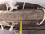 GATES 32EFG5K SAE/EN856 R13/4SH 2G-11C 2 IN 5000 PSI ENVIROFLUID FLAME RESISTANT HYDRAULIC HOSE 70 FT T103426