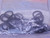 LOT OF 5 FEDERAL MOGUL 110PKG OIL SEALS T113968