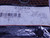 LOT OF 6 FEDERAL MOGUL 020PKG OIL SEALS T113969