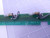 PCBD 41249-000 REV. A LIGHT ASSEMBLY T117138