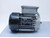 REXROTH 3 842 503 582 MOTOR T125831