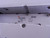 LOT OF 6 SMC VQC4101-5 6 SOLENOID VALVES WITH MANIFOLD AND MODULE T126334