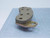 XTENDER DX150 DISC BRAKE PADS T128541