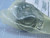 EJ09E4 1202586901 COMPRESSOR SPARE PARTS THERMOSTAT VALVE T132606