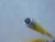 MOLEX 1200650366 80458 MICRO-CHANGE 4P FEMALE SET T132773