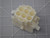 LOT OF 46 AMP 770027-1 CONNECTORS T141684