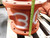 CLOW FIRE 2640 12 INCH MAIN GATE VALVE T143839