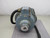 UAAGE-5R 3-PHASE INDUCTION MOTOR T155539