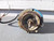 MARATHON ELECTRIC 2772RA 2VM56T34D5349B P JET PUMP MOTOR T47199