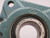 DODGE 1-3/16-205 FLANGE BEARING T157835