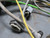 LEONI 7.532.068.2001 CORRUGATED UMBILICAL CABLE ASSEMBLY T160091