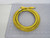 LUMBERG RST3URKT3U-619 12FT 3-PIN MALE/FEMALE CORDSET 12FT CABLE T162120
