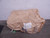 LOT OF 114 PLASTIC RESIN BAG BULK BAGS T162981